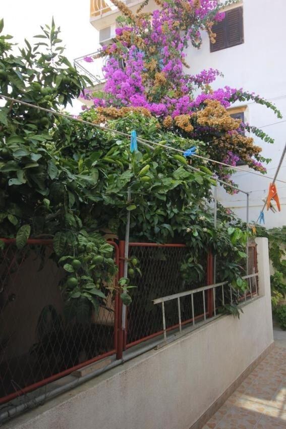 Apartments Zoki - Great Location Close To The Sea Вис Екстериор снимка